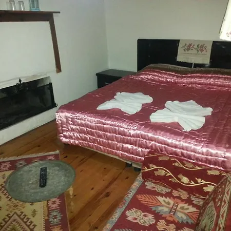 Privat bolig Deniss Selçuk